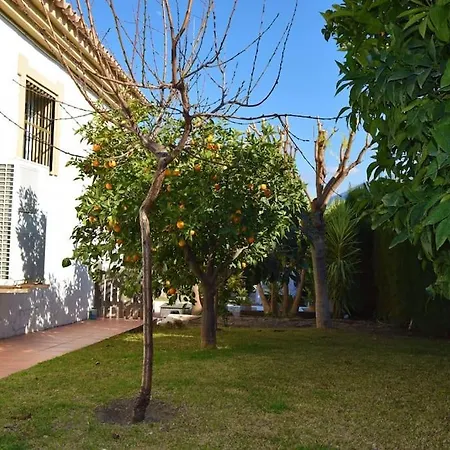 Andalusian Villa & Pool Villa Coín